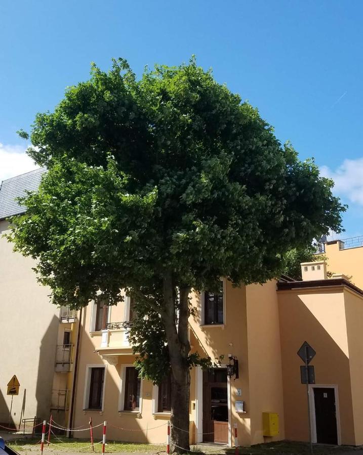 Apartamenty Na Cichej 5 A3 Kołobrzeg Esterno foto